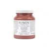 FMP Enchanted Echinacea